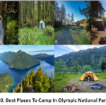 Best Places To Camp In Olympic National Park