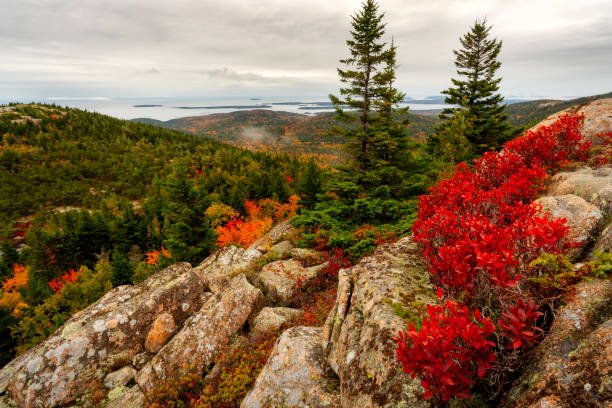 Best Places To Camp With Family 12 Acadia National Park – East Coast Family Escape, Maine