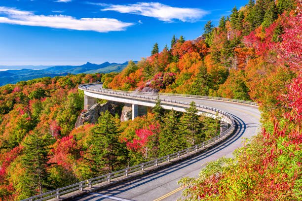 Best Places To Camp With Family 13 Scenic Family Camping Along Blue Ridge Parkway, North Carolina/Virginia