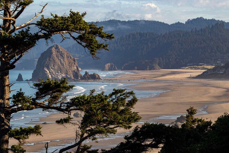Best Places To Camp In Oregon 7 Cape Lookout State Park – Oceanfront Camping with Sweeping Coastal Views