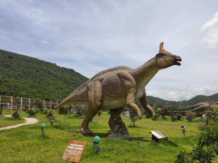 17 Best Places To Camp In Texas 12 Dinosaur tracks and campground in Dinosaur Valley State Park, Texas