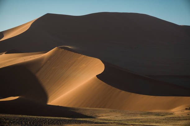 Best Places To Camp In Oregon 4 Oregon Dunes National Recreation Area – Unique Coastal Camping in Oregon