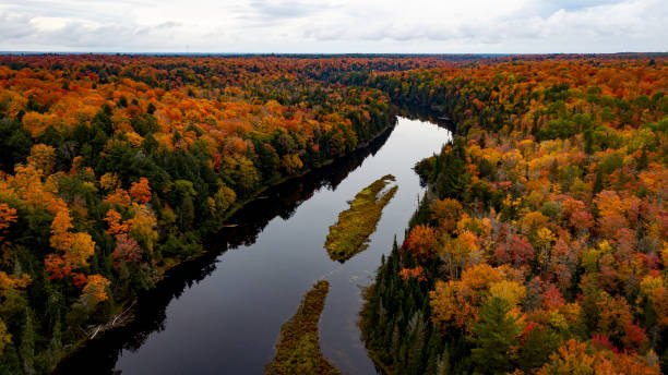 Best Places To Camp In Michigan 6 Secluded tent site in dense woods at Hiawatha National Forest