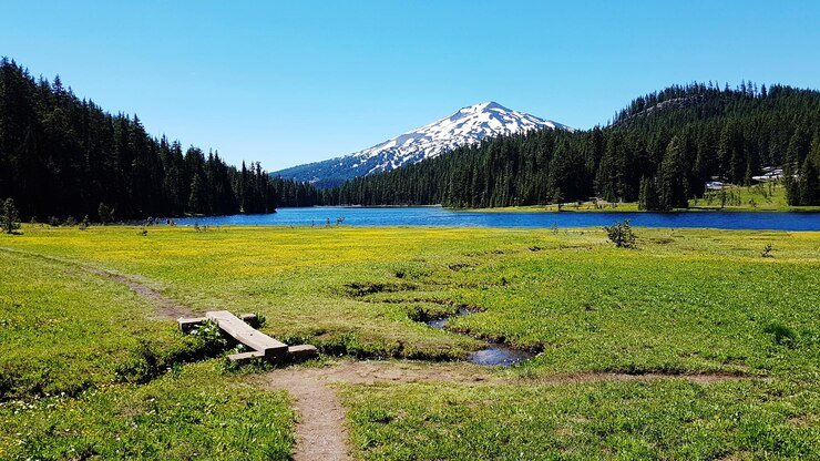 Best Places To Camp In Northern California 5 Shasta-Trinity National Forest: Wild Beauty, Untamed Camping