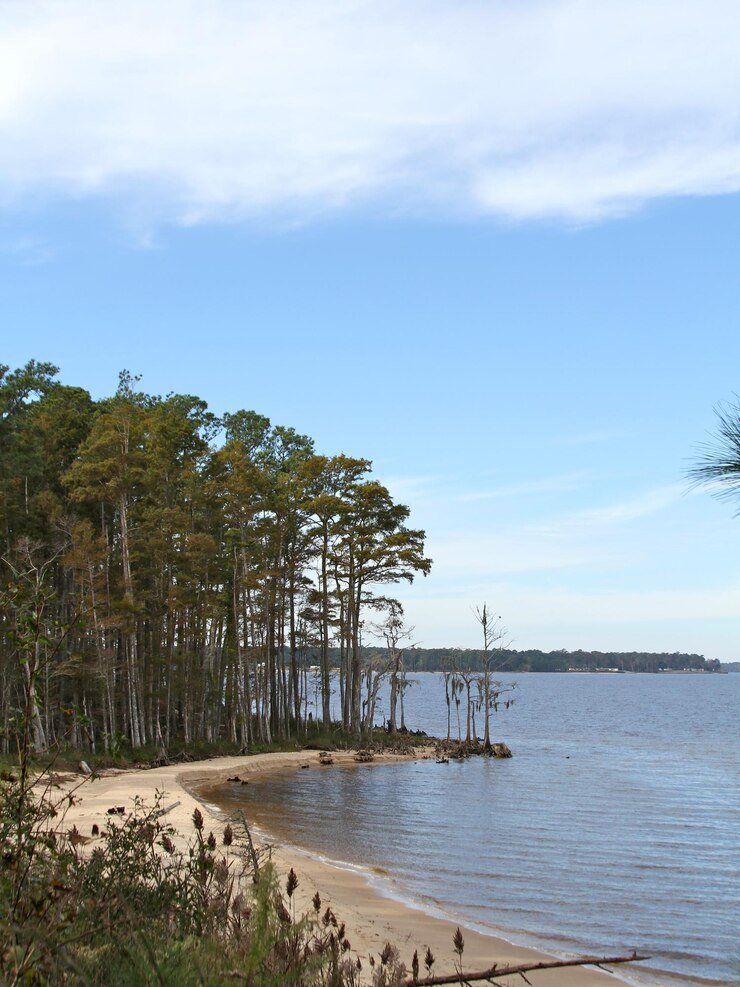 Island campsite with water views at Wellesley Island State Park, a unique Thousand Islands camping experience.