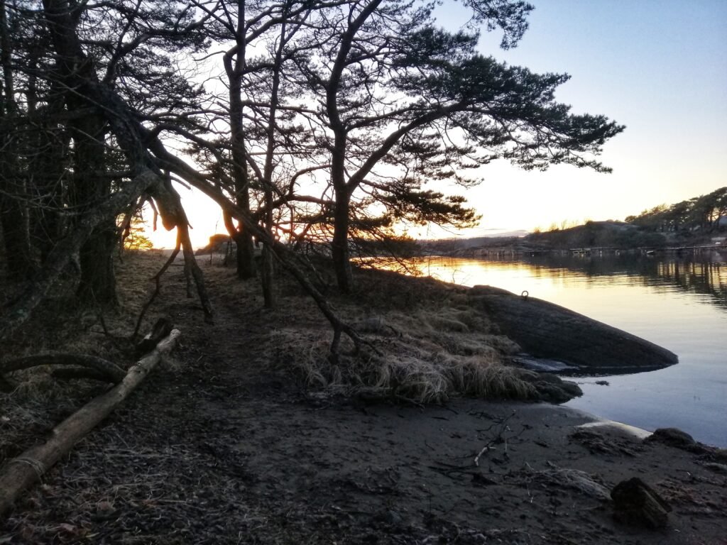 Elevated tent site at Westmoreland overlooking water and forest — a favorite Virginia coastal camping location.